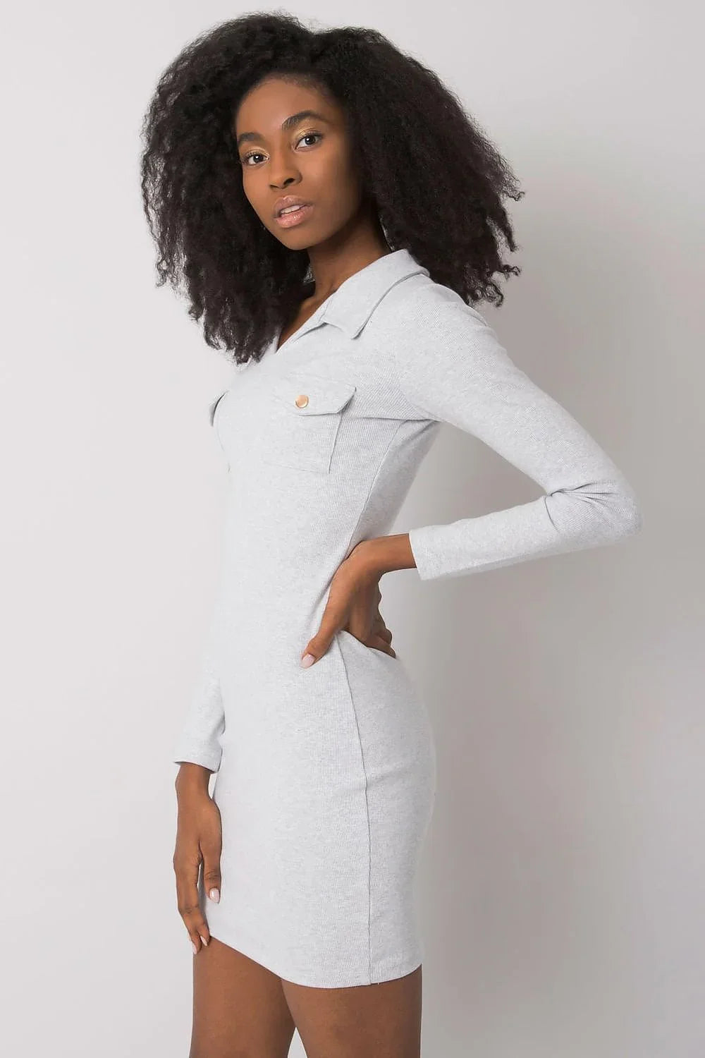 Women's Mini Day Dress – Slim With Long Sleeves