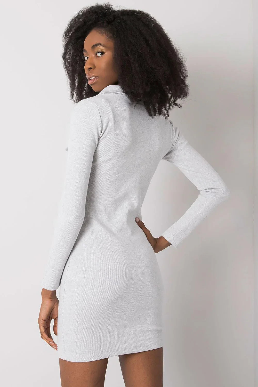 Women's Mini Day Dress – Slim With Long Sleeves