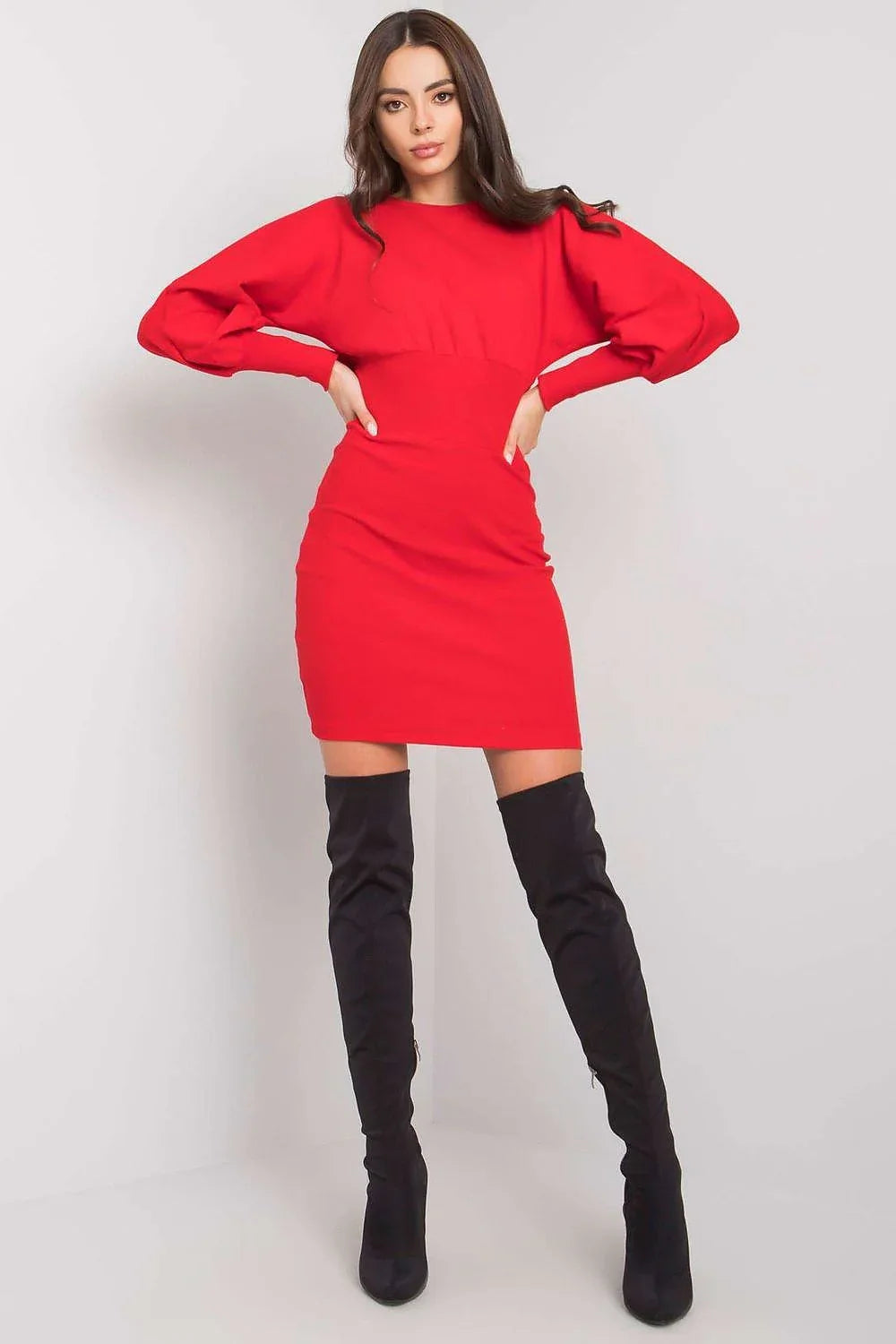 Women's Mini Day Dress – Slim With Long Sleeves