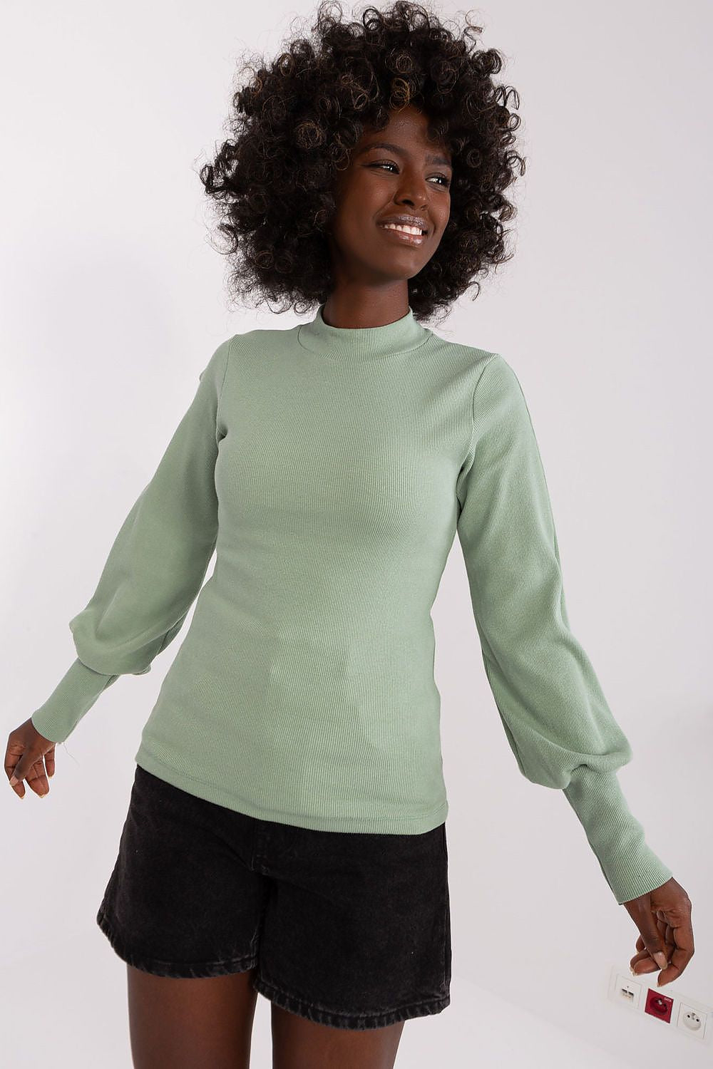 Women's Long Sleeve Blouse - Solid Waist Length