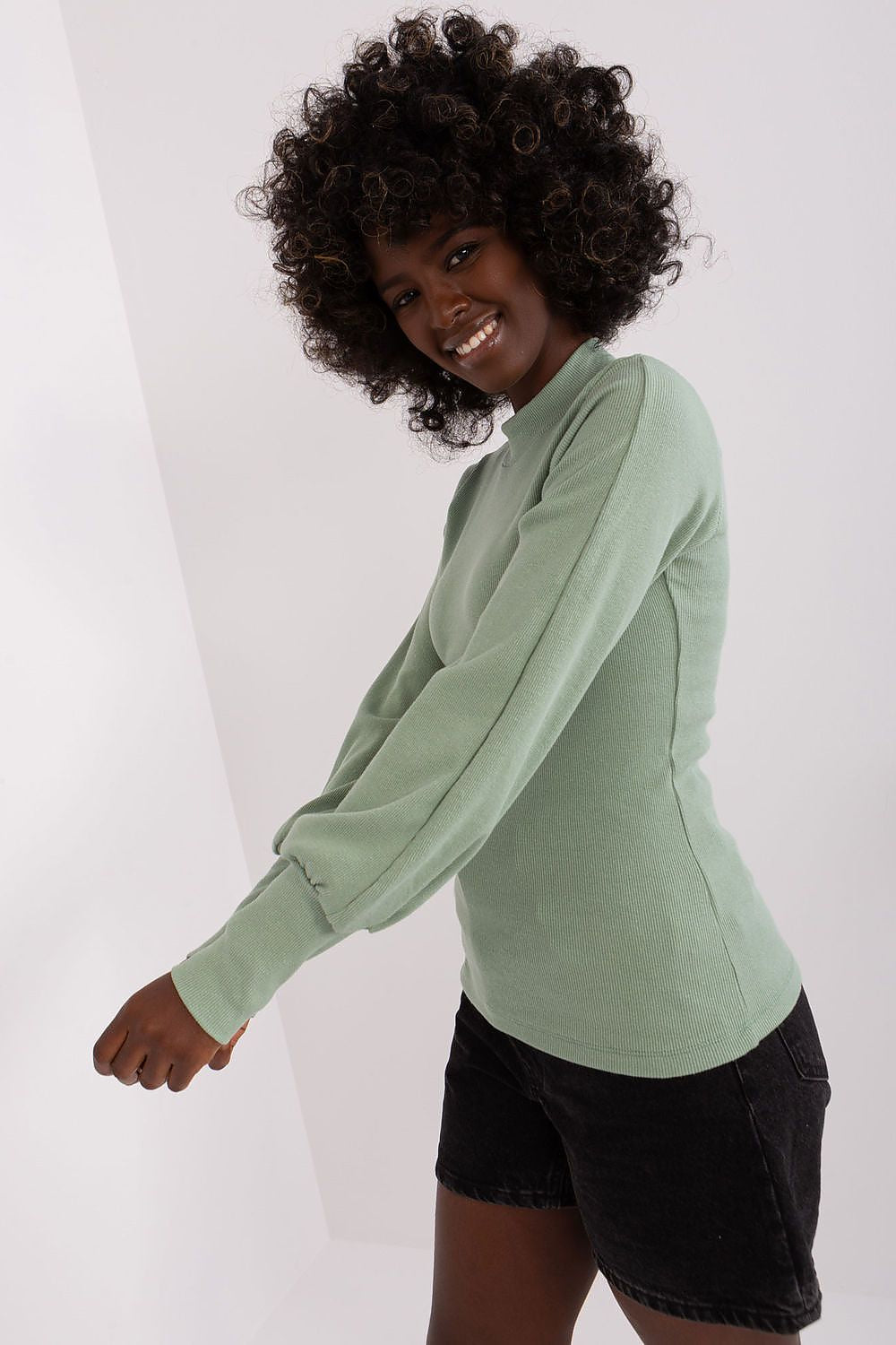 Women's Long Sleeve Blouse - Solid Waist Length