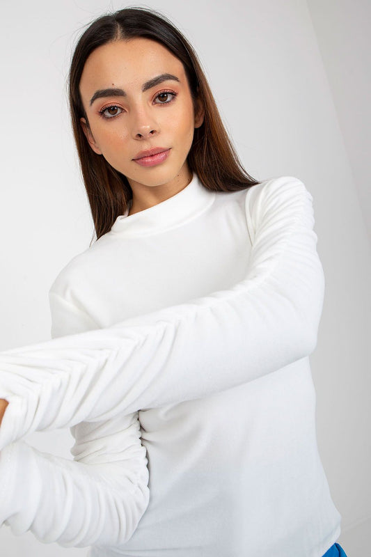 Women's Long Sleeve Blouse - Solid Waist Length