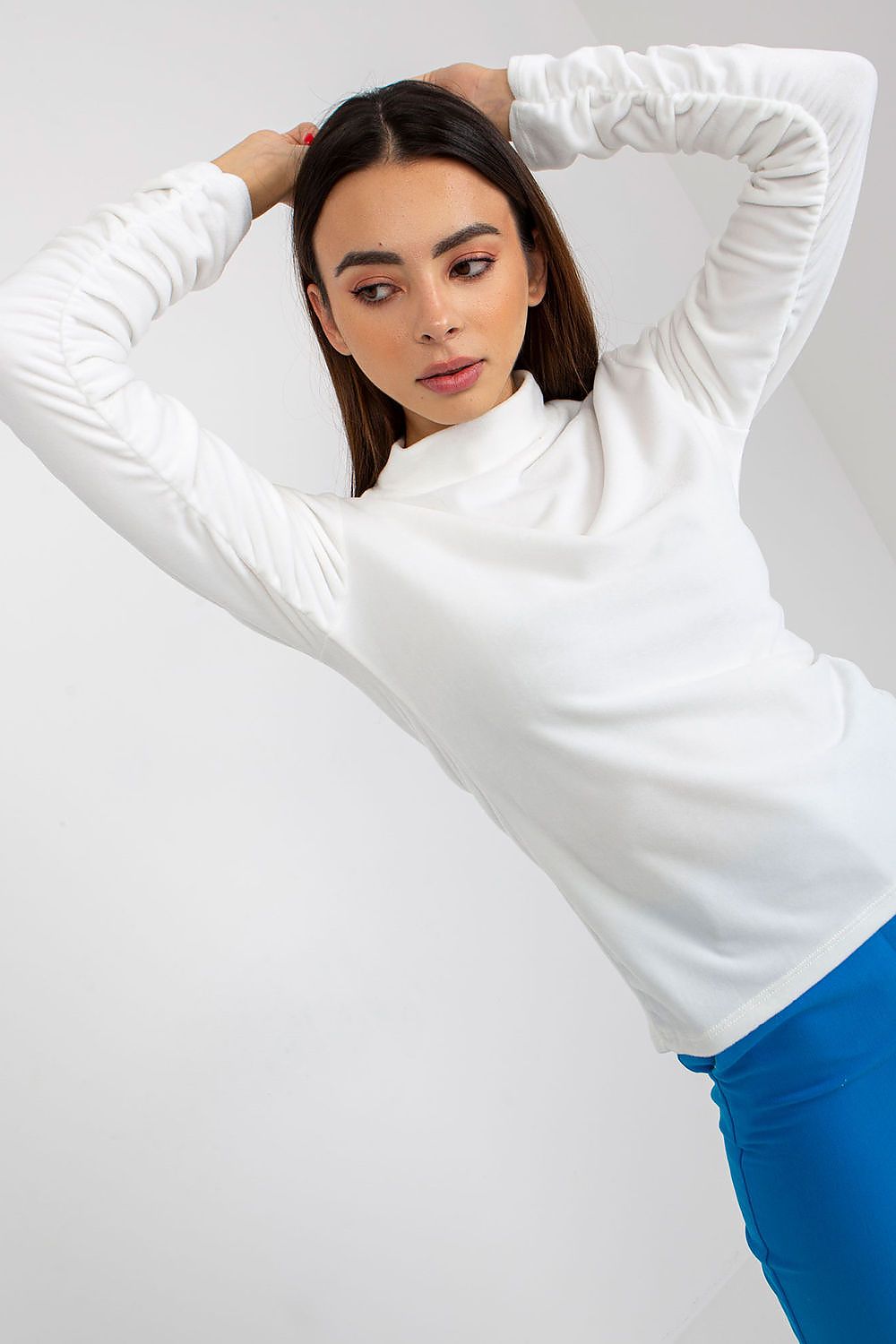 Women's Long Sleeve Blouse - Solid Waist Length